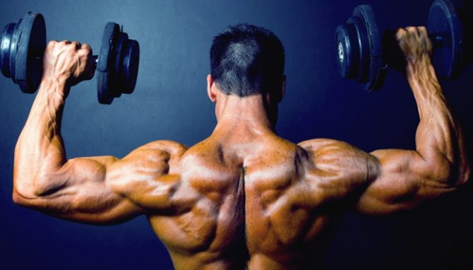 Мышечные стероиды: пользователи разделяют максимумы и недостатки использования